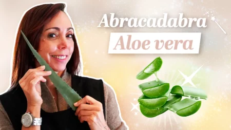 Les bienfaits de l’aloe vera pour la maison !