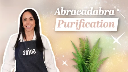 Purifier naturellement sa maison pour l’automne et l’hiver