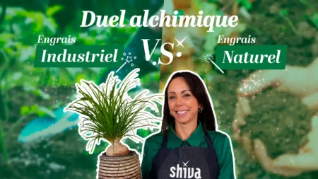 Engrais naturel ou chimique : quel est le meilleur pour vos plantes ?
