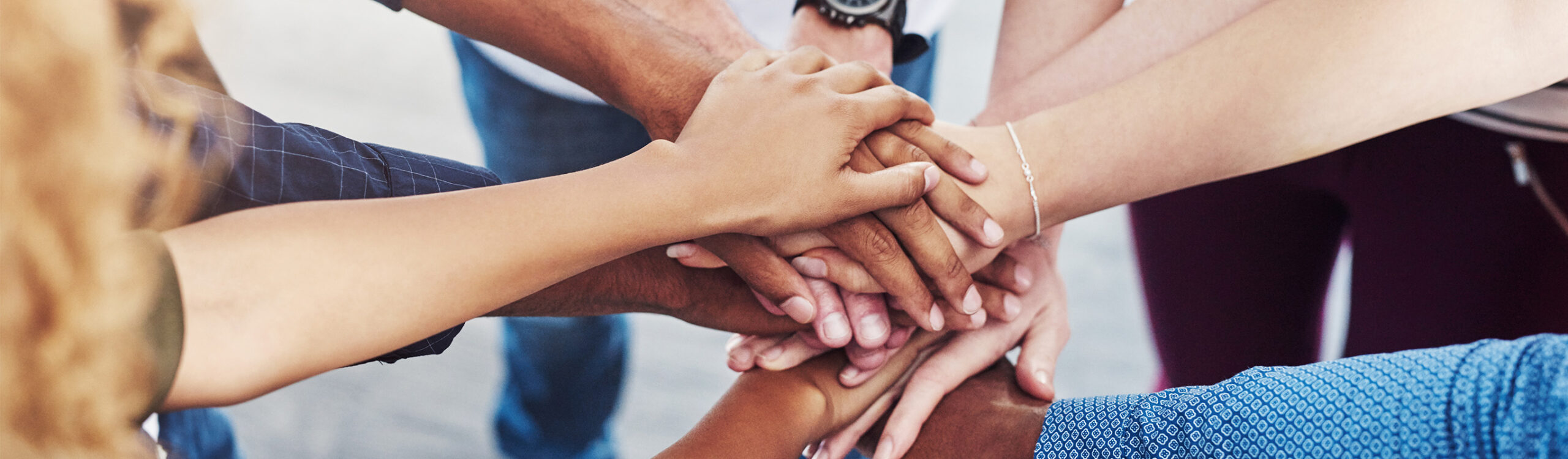 Les partenaires d’exception