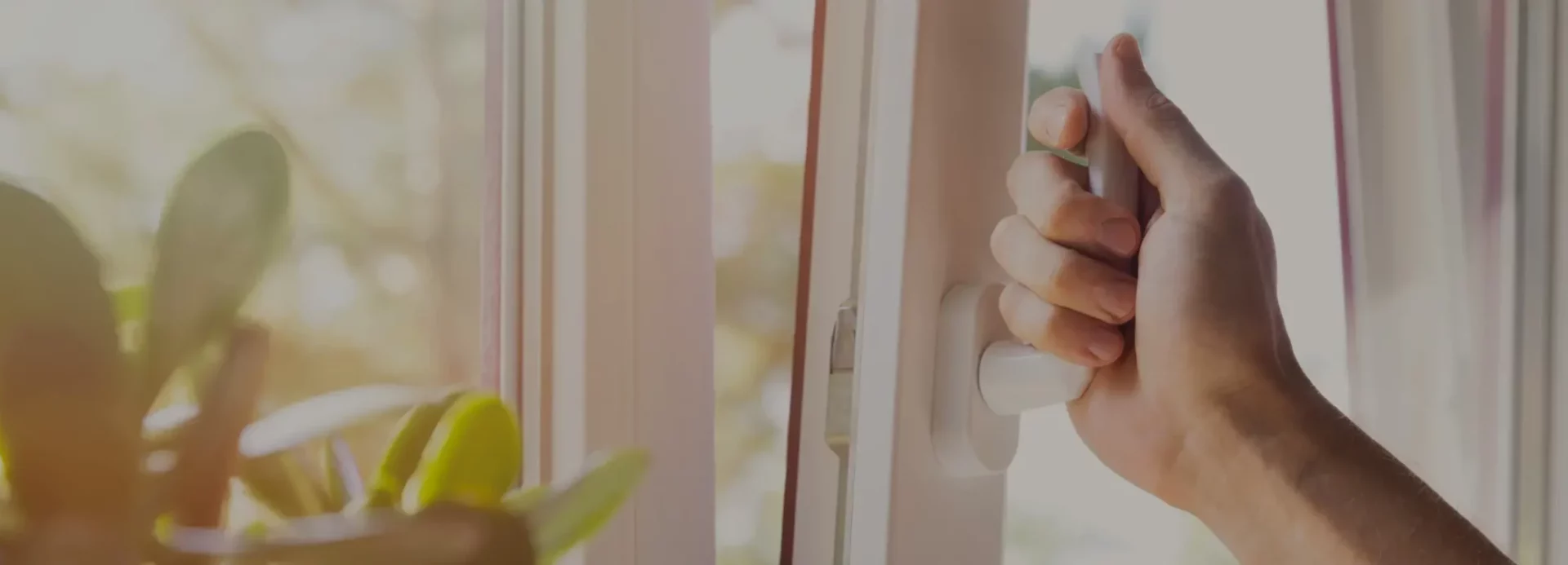 Nos prestations : Nettoyage de vitres à domicile