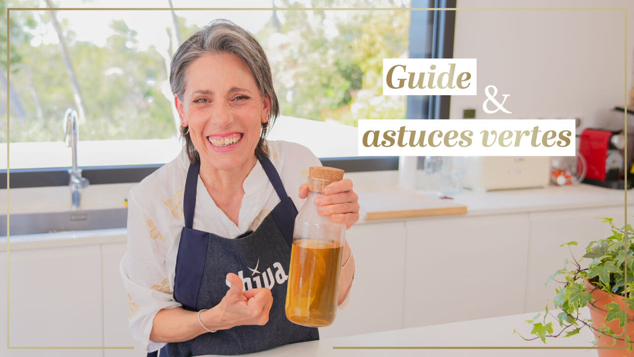 5 plantes incontournables à avoir chez soi